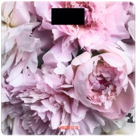 Весы напольные ARDESTO SCB-965PEONIES, 1 шт