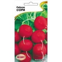 Насіння НК ЕЛІТ Редиска Сора, 2 г