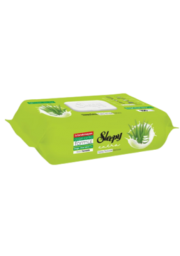 Серветки для побутового прибирання Sleepy Easy Clean Aloe Vera, 100 шт