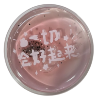 Грелка для рук солевая многоразовая