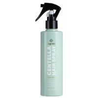 Термозахисний спрей для волосся Centella Hair Spray Bogenia BG416 №004, 250 мл