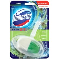 Туалетний блок Domestos Хвоя, 40 г