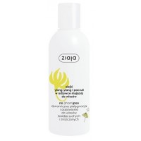 Кондиціонер для сухого та пошкодженого волосся Ziaja Essential Ylang-Ylang Conditioner Іланг-іланг, 200 мл